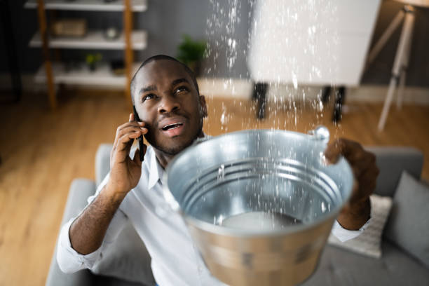 Best Water damage restoration mold remediation  in Palestine, TX