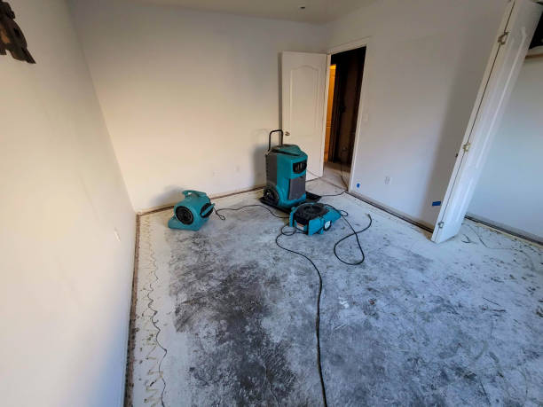 Best Carpet water damage restoration  in Palestine, TX