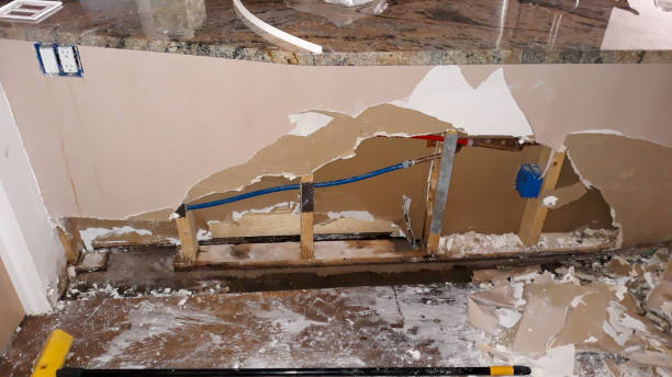 Best Basement water damage restoration  in Palestine, TX