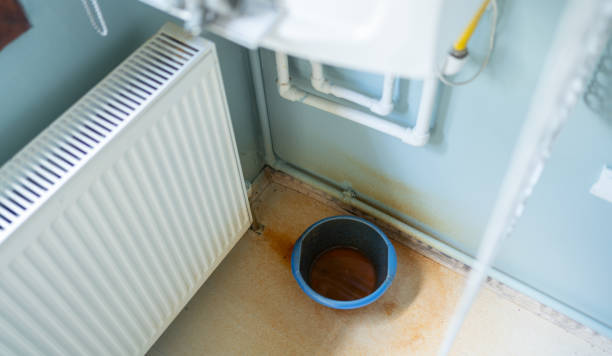 Best Mold removal after water damage  in Palestine, TX
