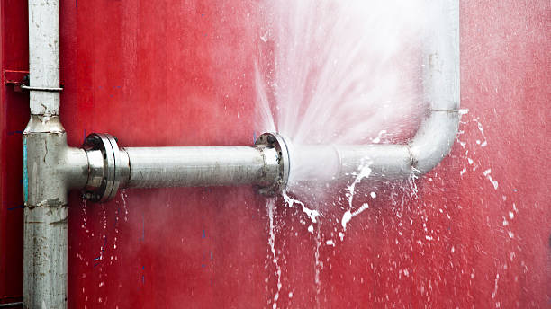 Best Water damage restoration near me  in Palestine, TX